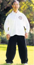 Professor Wong demonstrating Tai Chi stance